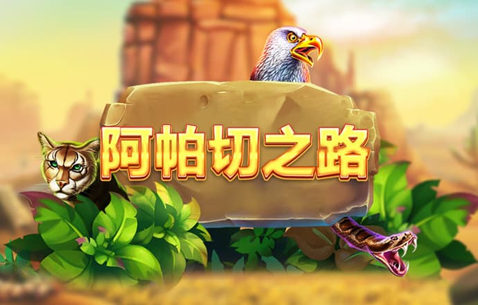 大红鹰dhy7788
